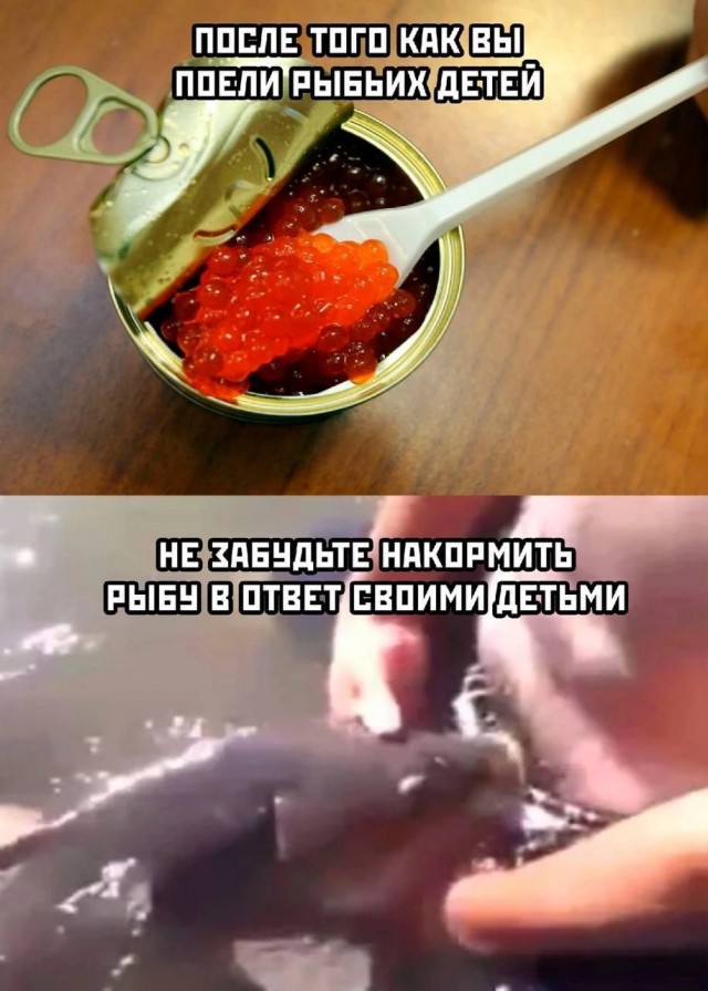 Всего понемногу. От 20.01.2025