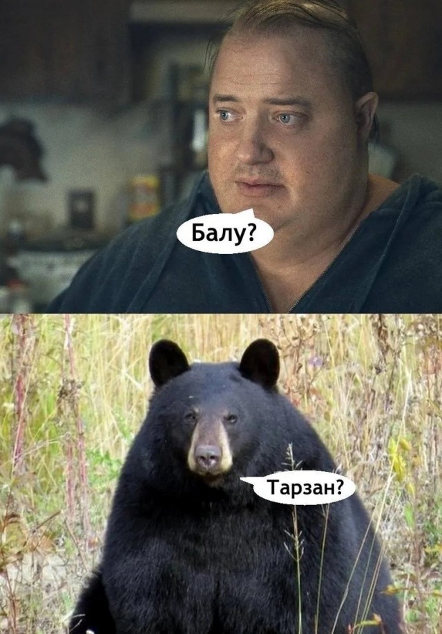 Завалялось тут случайно немного забавных картинок