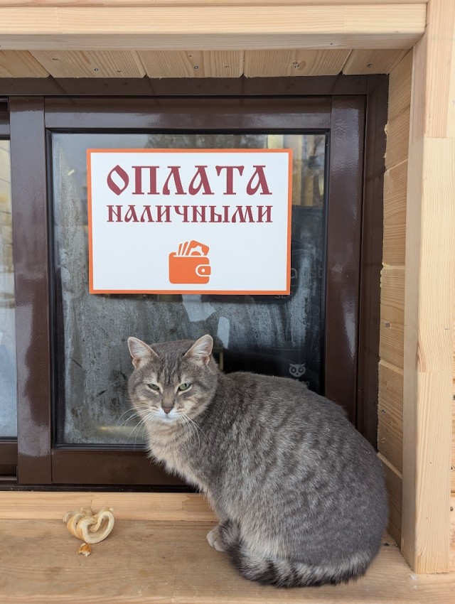 Красивое фото из телефона