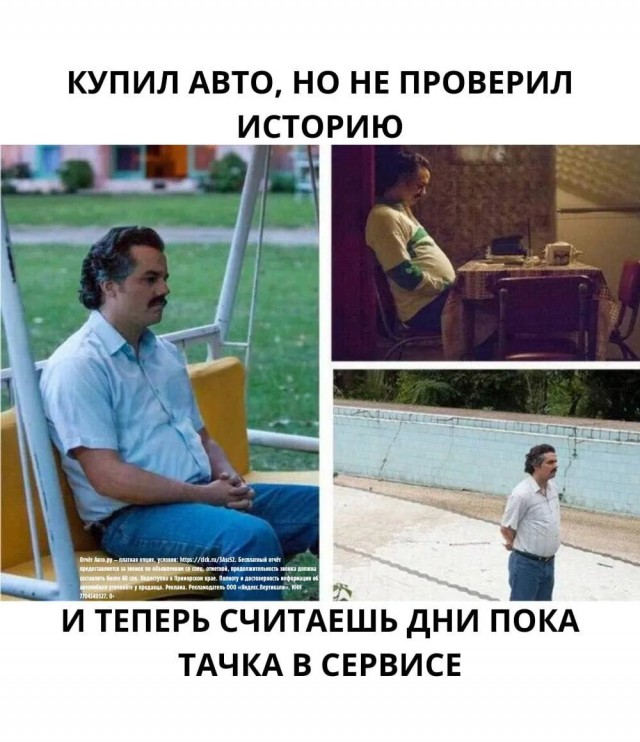 Смешные картинки с надписями и чужой кот