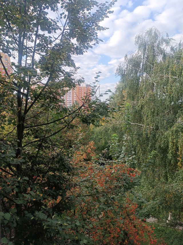 Екатеринбург накрыло одеялом густого тумана этим утром.