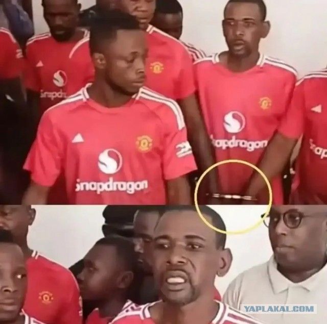 Задержанных заставляют носить форму «МЮ» — фанаты в шоке и смеются одновременно