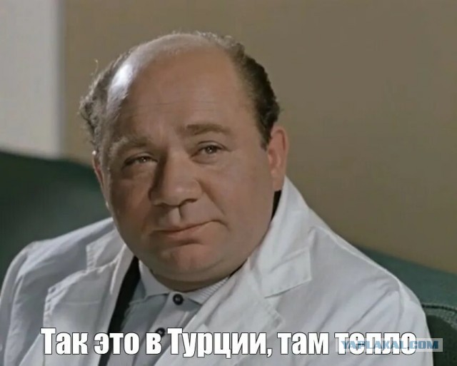 Дом на дереве