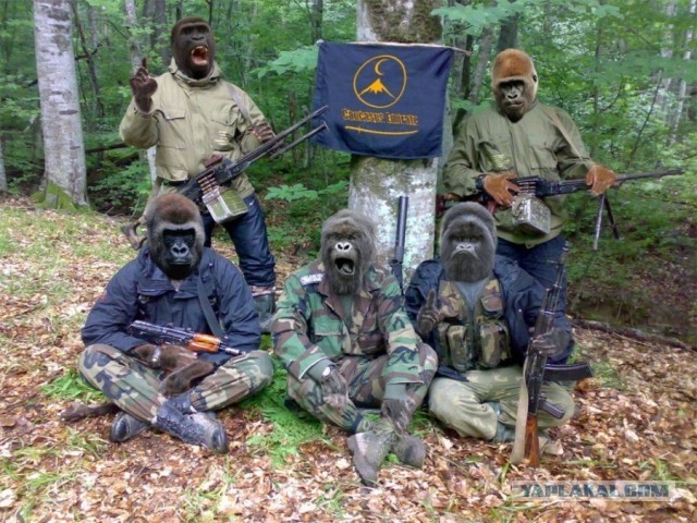 Дайте денег жи есть!