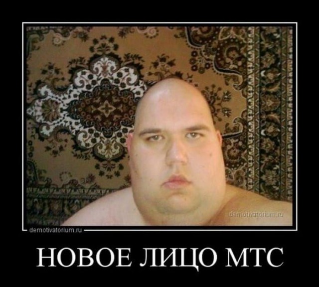 День лысых мужчин отмечается сегодня