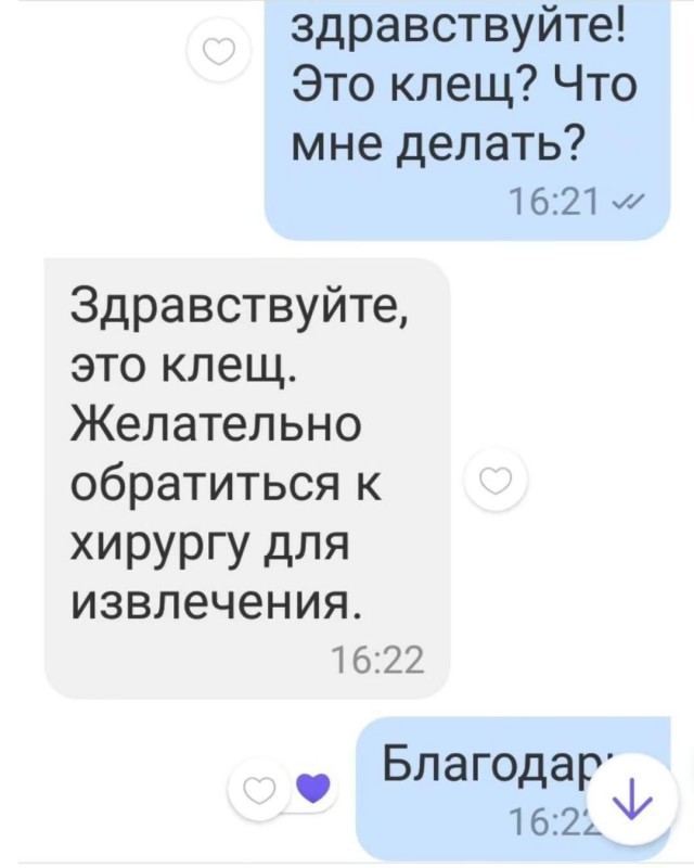 Эзотерики и всякие тарологи без постоянного графика работы почему-то думают что у остальных так же.