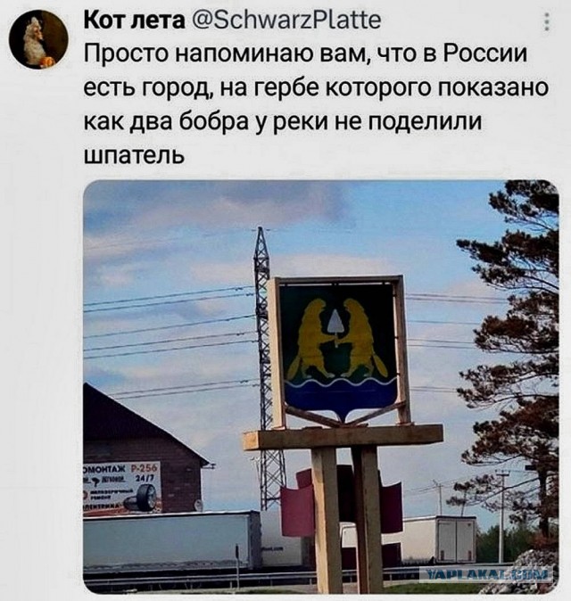 Веселые картинки в маленькую пятницу (10.06)