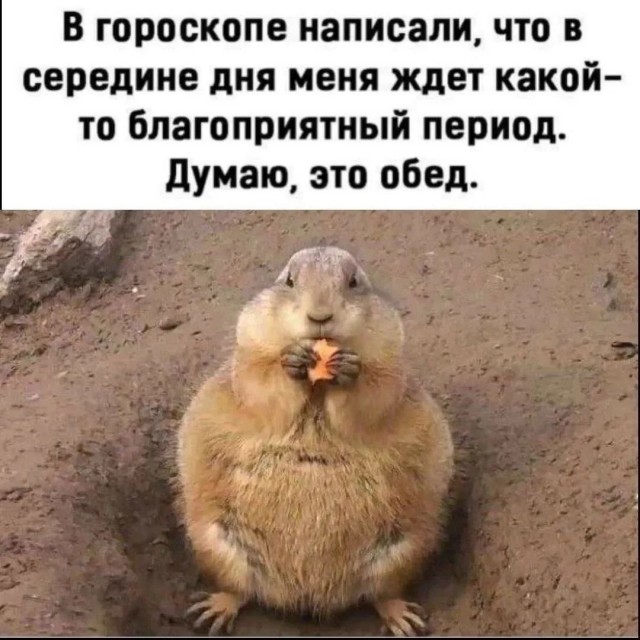 Мемчики