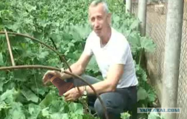 Находка на песчаной отмели