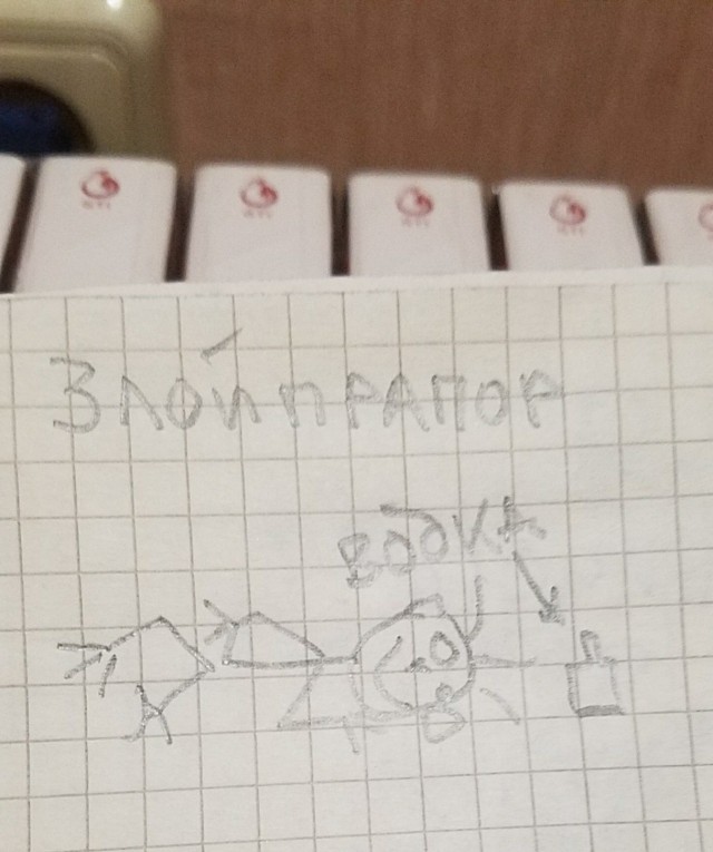 Рисунки.