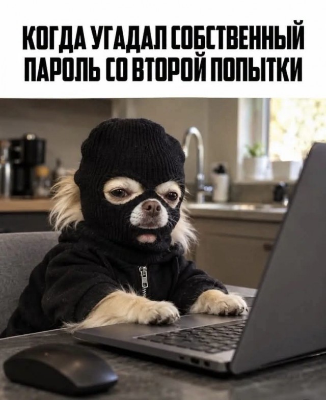 Улыбательные картинки
