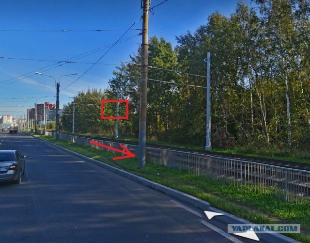 В Питере пьяный автомеханик взял покататься клиентскую Audi и насмерть сбил самокатчика