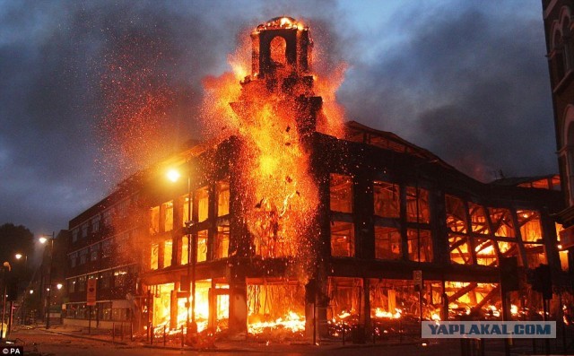 Тварь в подъезде