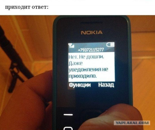 Иногда поражаешься наглости смс аферистов.