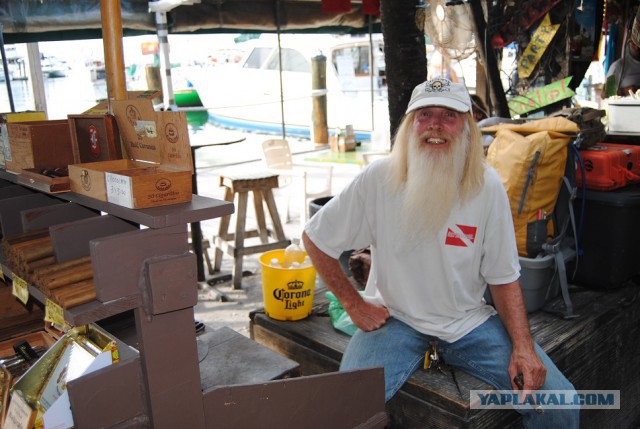 Каникулы во Флориде