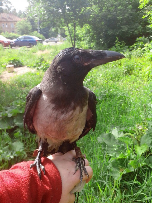 Пишу на удачу