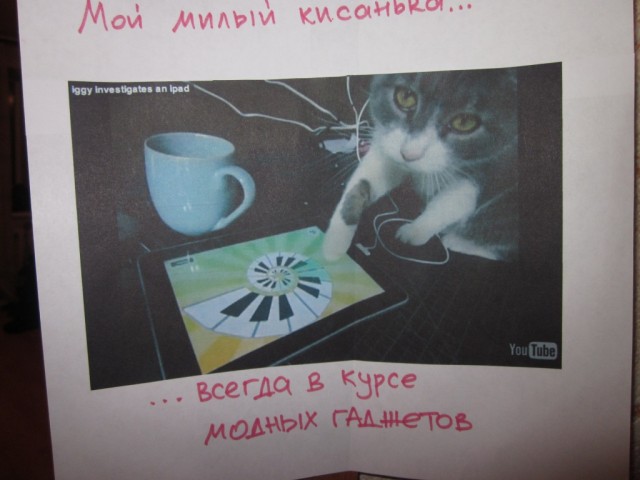 "Котэ-мотиваторы"