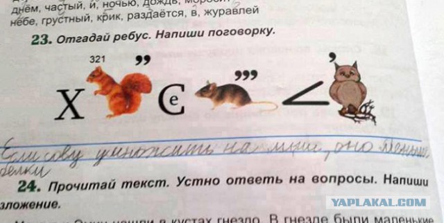 Смешные комментарии из социальных сетей