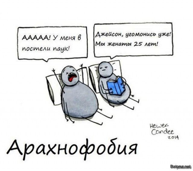 Смешные и не очень картинки из ВК