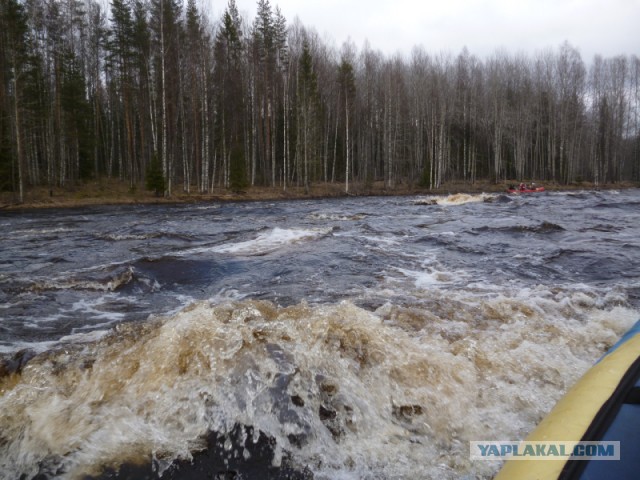 Поход: Карелия, река Шуя, женщина, байдарка.