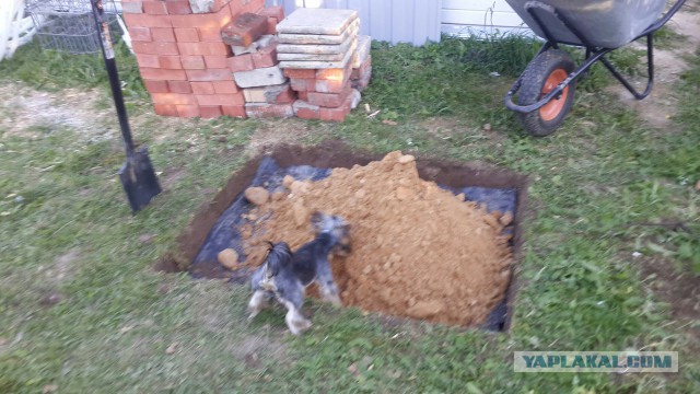 Строительство мангала на даче или куда девать