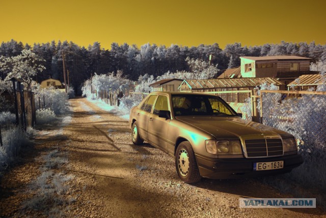 Искусство инфракрасной фотографии
