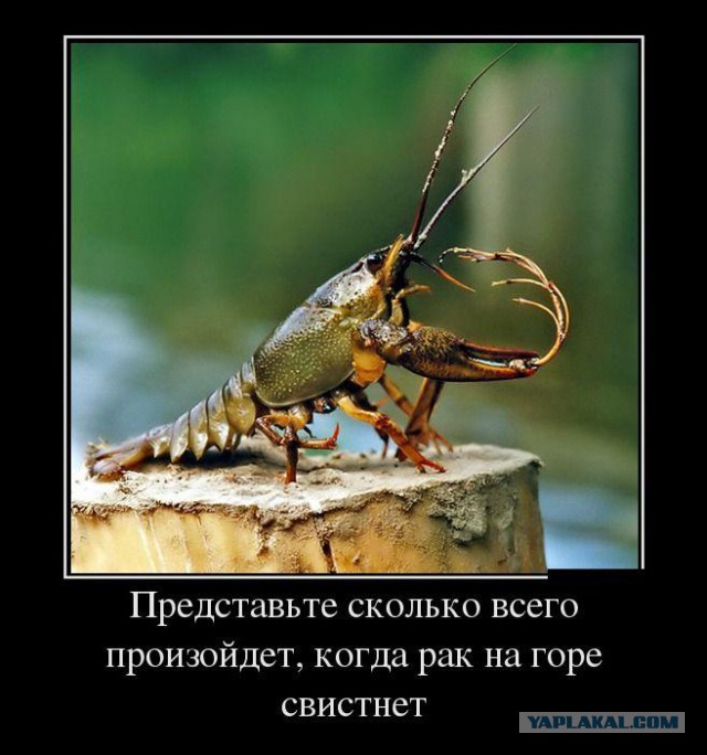 Демотиваторы утро этого дня