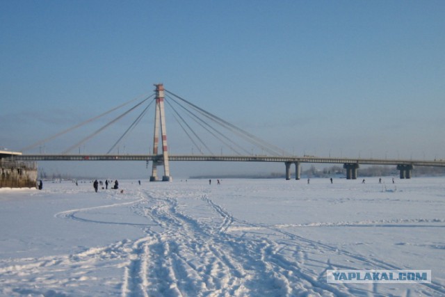 Тайны «московского гастарбайтера"