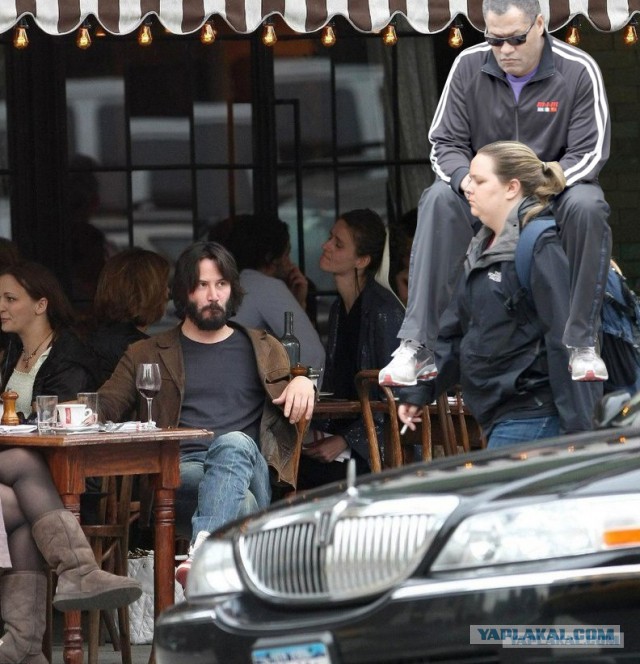 Не желаете ли пожабить