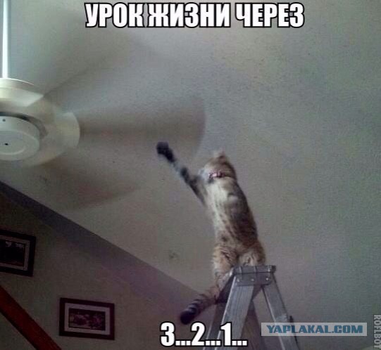 Картинки из ваших этих итернетов...3