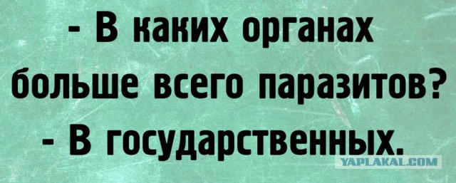 Подборка за неделю