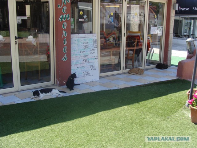 Кипр. Пафос. Август 2016 г.
