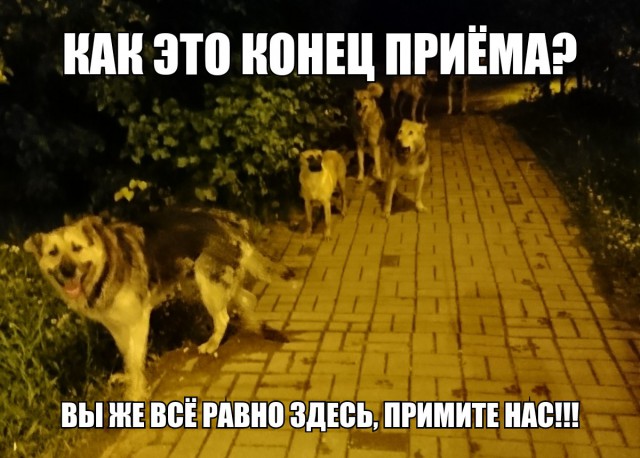 Злой-добрый медик, ехидный пациент и другие