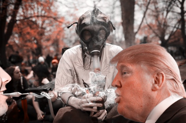 Фотожаба "Профиль Трампа"