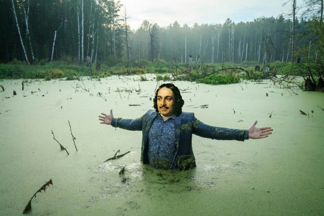 Как обустроить болото