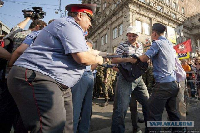 25 животных, которые ни за что не отдадут свое