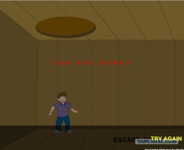 Attic Escape