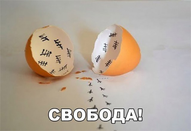 От работы отдыхаем, на картинки залипаем
