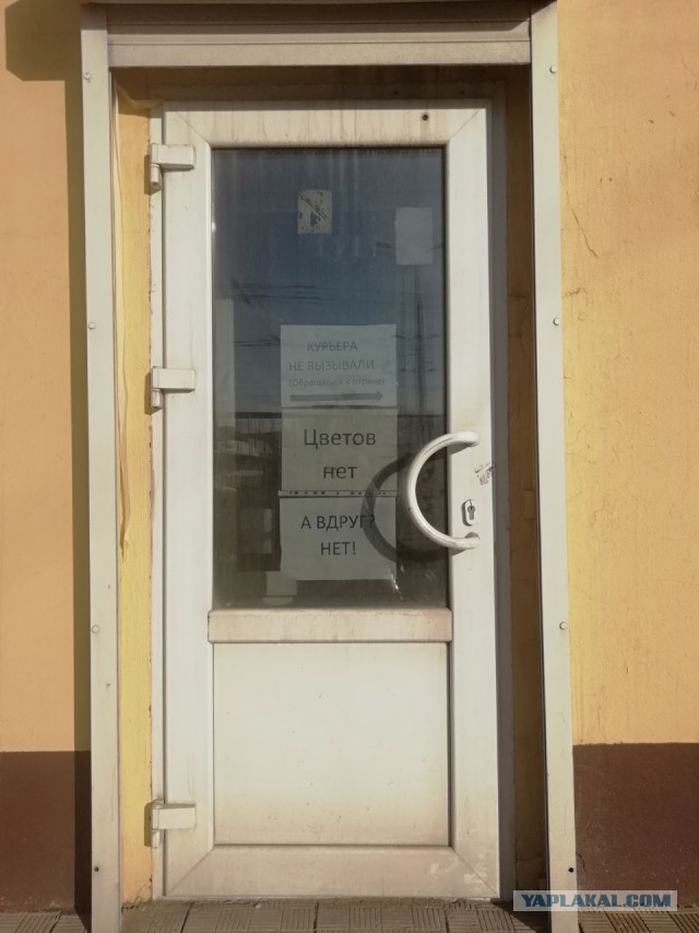Перлы