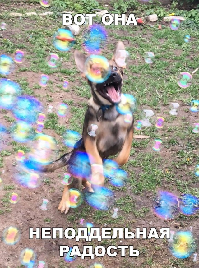 Нестандартный юмор