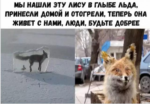 Не очень адекватный юмор