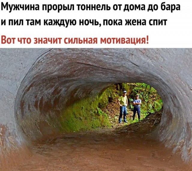 Немного картинок в это воскресенье