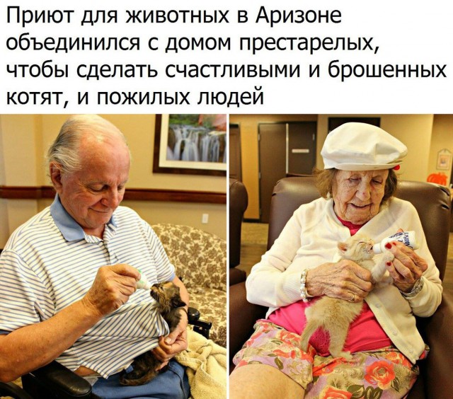 Пачка картинок