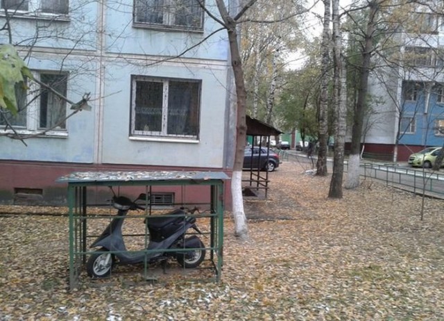 И всё-таки она наша. Лента картинок