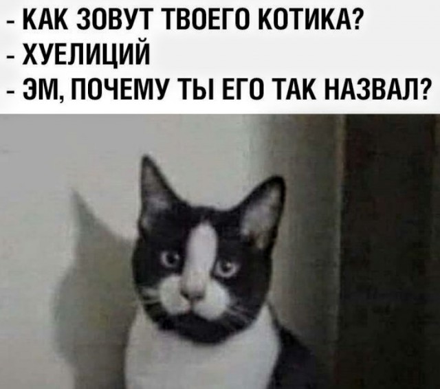 Картинки с надписями и анекдоты