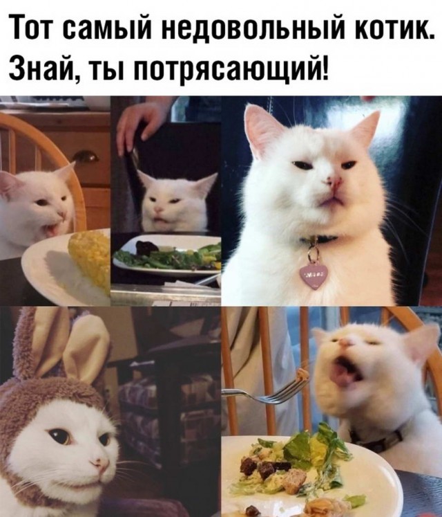 Аморалка