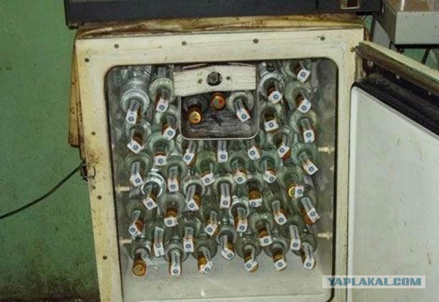 Еда реального холостяка! Топ 3 блюда и компот