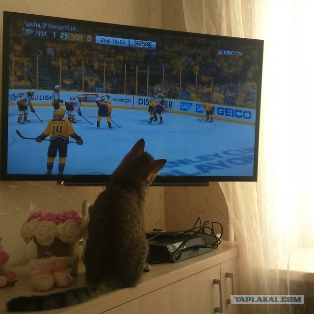 Бесконечное удовольствие