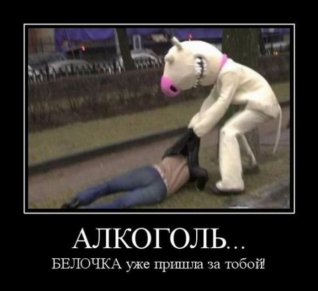 Небольшая субботняя алкоподборка