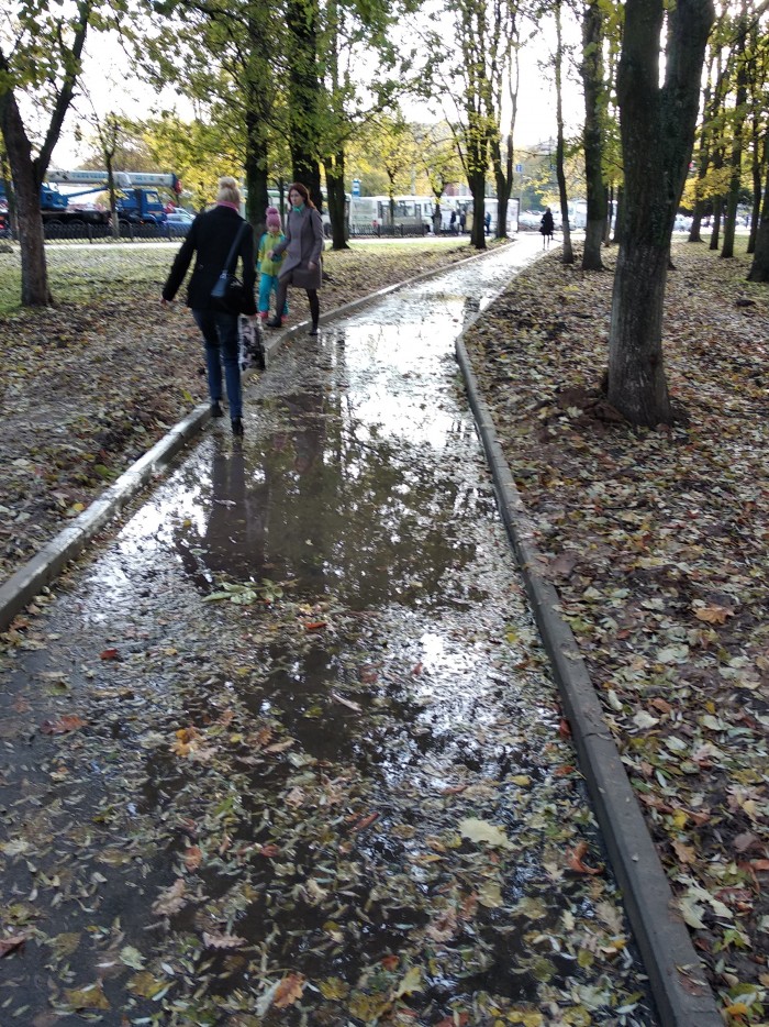 Скамейки в пруду: вандалы разгромили только что благоустроенный парк в Ярославле